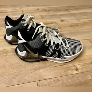 LeBron Nike Witness Youth